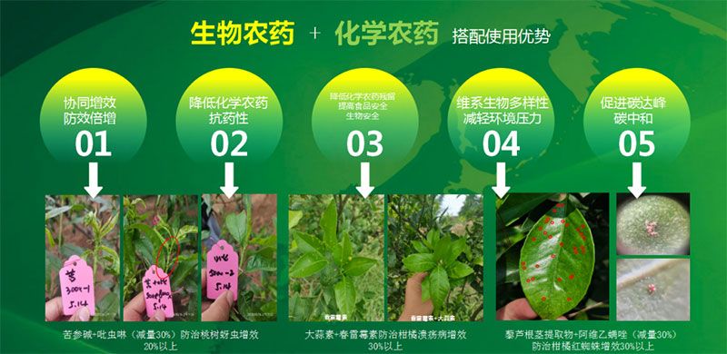 新朝陽在第六屆中國(guó)農(nóng)藥行業(yè)市場(chǎng)和銷售高峰論壇做“生物農(nóng)藥+化學(xué)農(nóng)藥，引領(lǐng)植保市場(chǎng)未來”主題報(bào)告