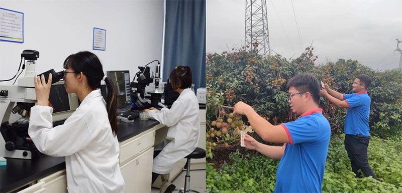 打造新朝陽生物科技“五張名片”，服務(wù)農(nóng)業(yè)高質(zhì)量發(fā)展！