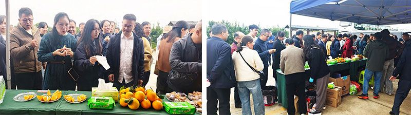 新朝陽生物技術助力綠色防控，推動柑橘產業(yè)綠色高質量發(fā)展